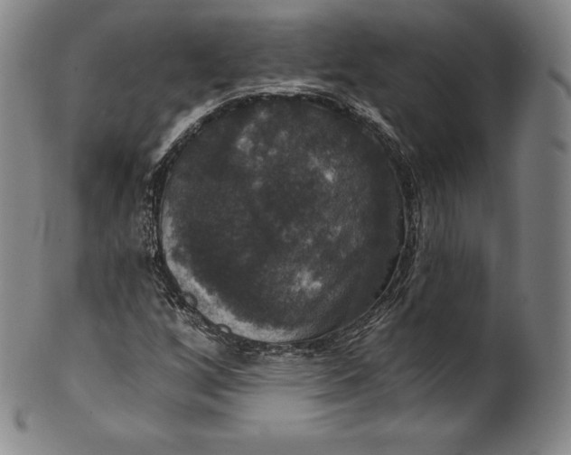 X0000102241256200808081428