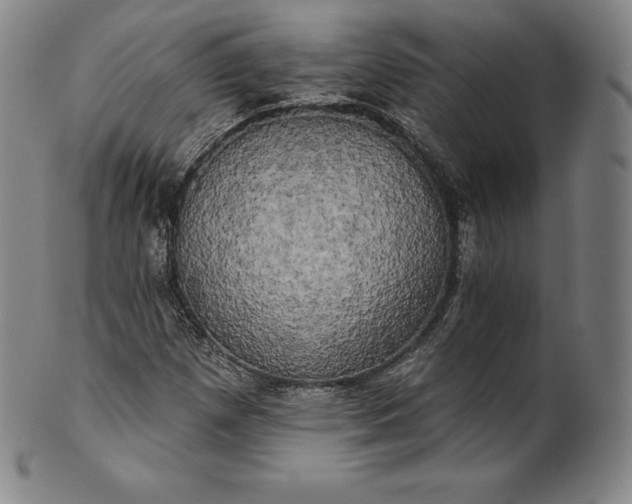 X0000102241257200808081428