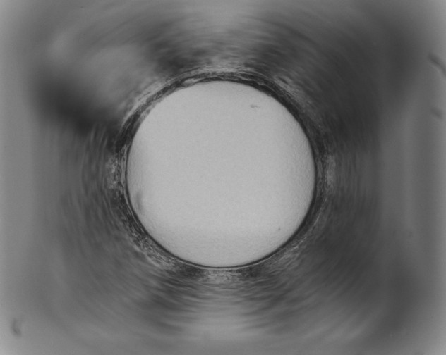 X0000102241258200808081428