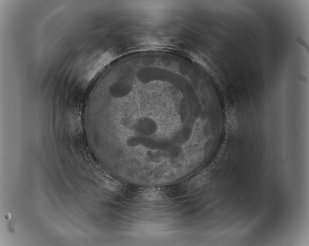 X0000102241259200808081428