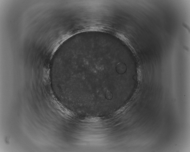 X0000102241260200808081428