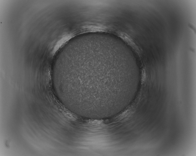 X0000102241261200808081428