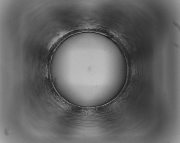 X0000102241262200808081428