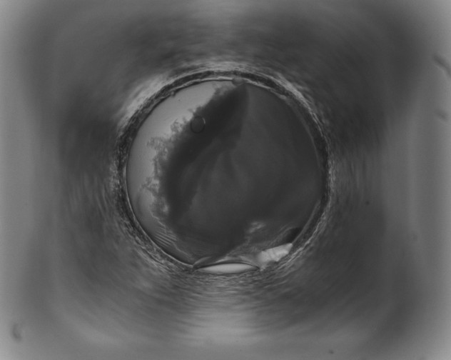 X0000102241263200808081428