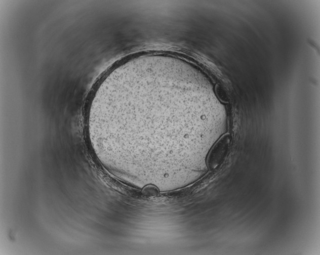 X0000102241264200808081427