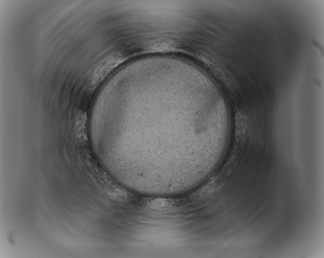 X0000102241265200808081427