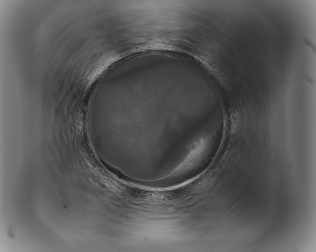 X0000102241266200808081427