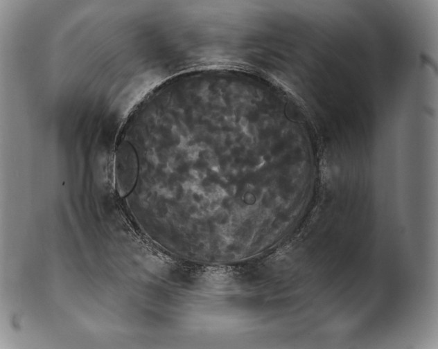 X0000102241267200808081427