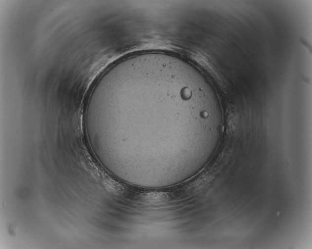 X0000102241268200808081427