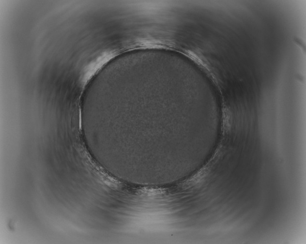 X0000102241269200808081427