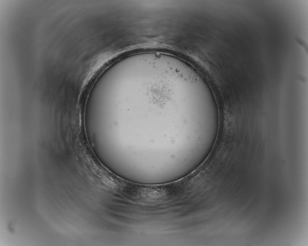 X0000102241270200808081427