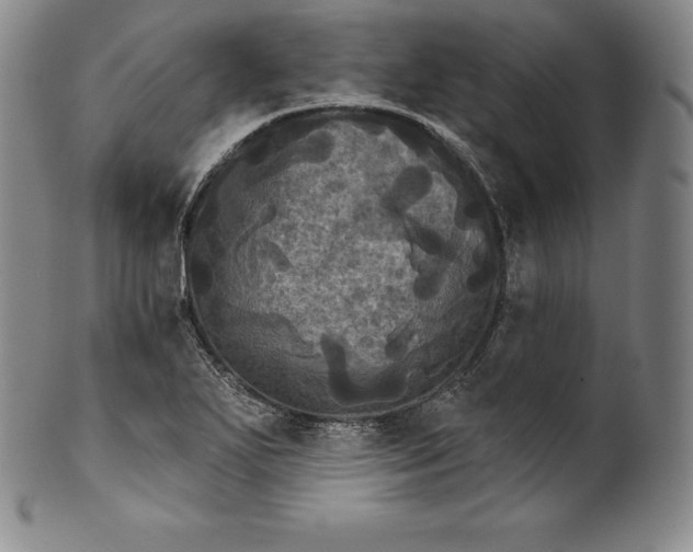 X0000102241271200808081427