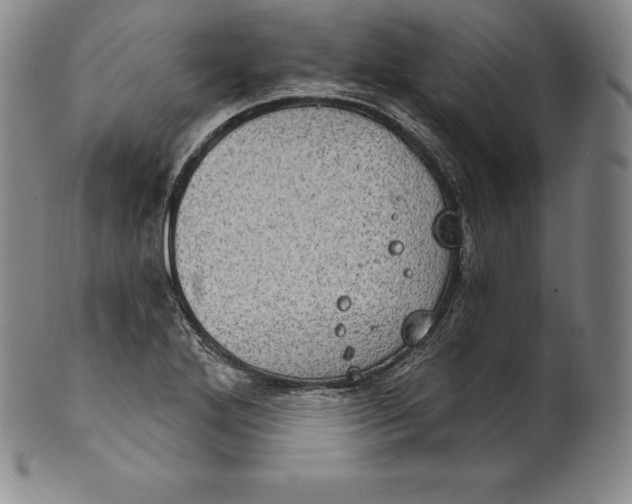 X0000102241272200808081427