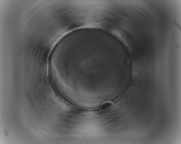 X0000102241276200808081427