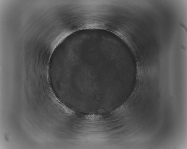 X0000102241277200808081427