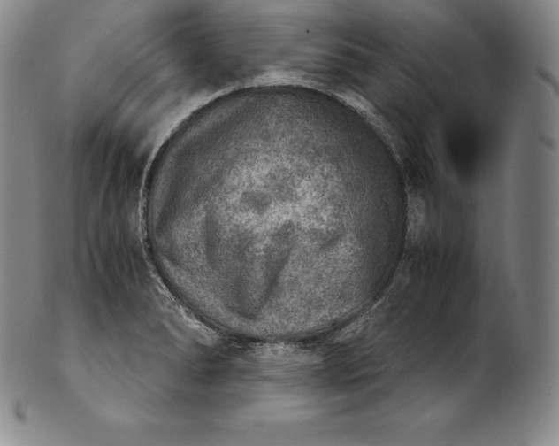 X0000102241278200808081427