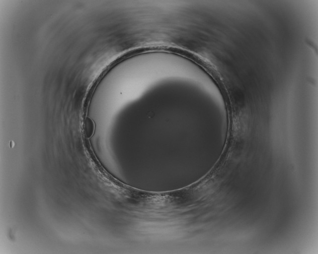 X0000102241279200808081427