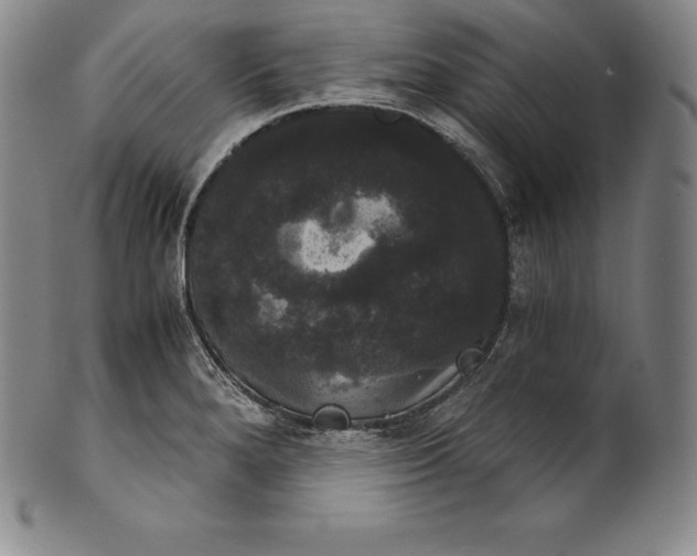 X0000102241280200808081427