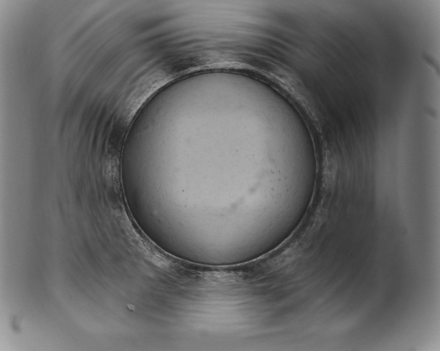 X0000102241281200808081427