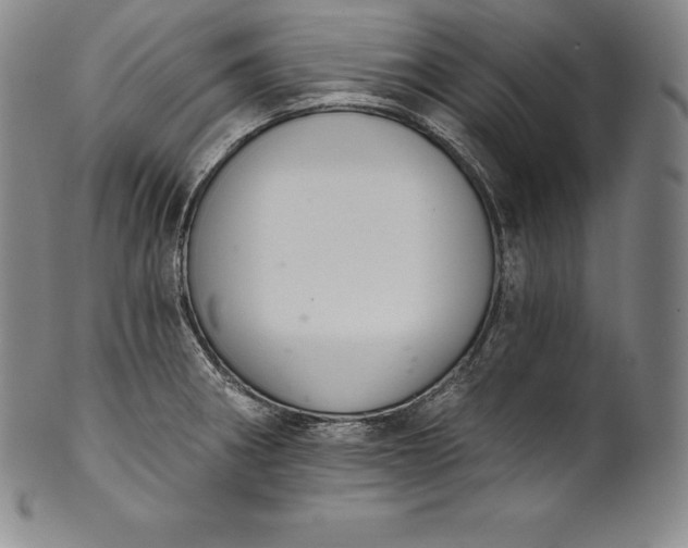 X0000102241282200808081427