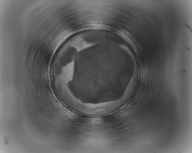 X0000102241283200808081427