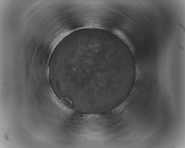 X0000102241284200808081427