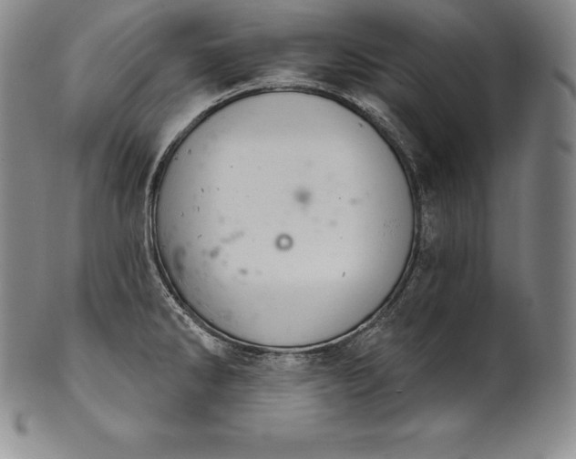 X0000102241286200808081427