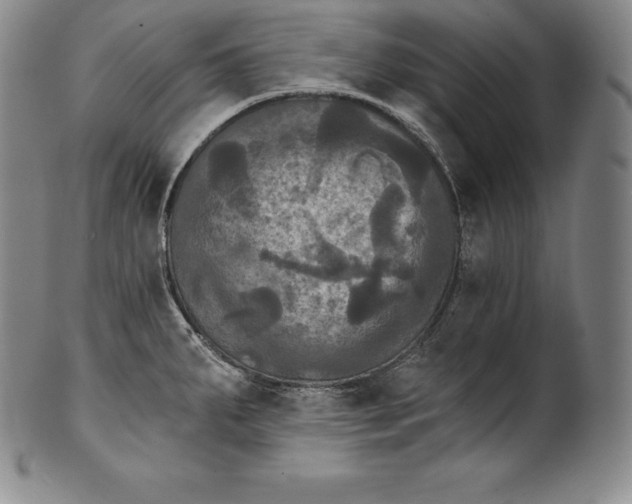 X0000102241287200808081427