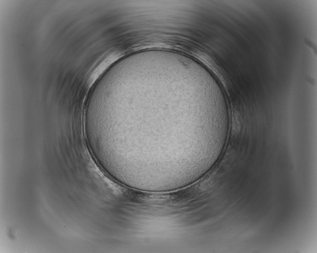 X0000102241290200808081427