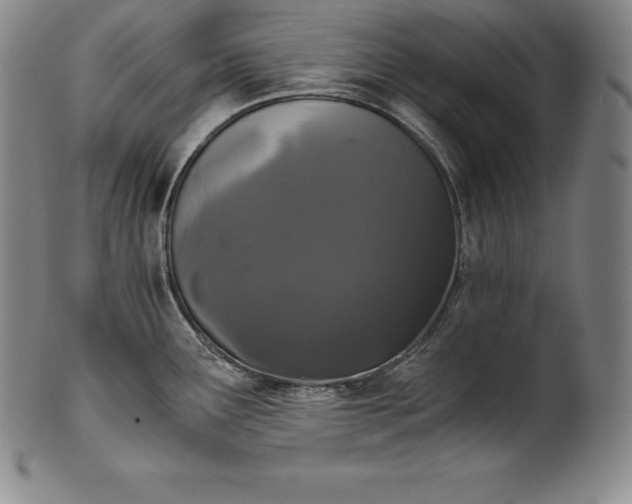 X0000102241291200808081427