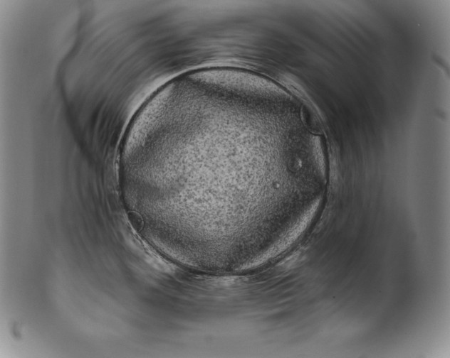 X0000102241292200808081427