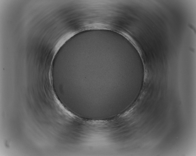 X0000102241293200808081427