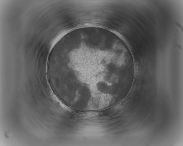 X0000102241294200808081427