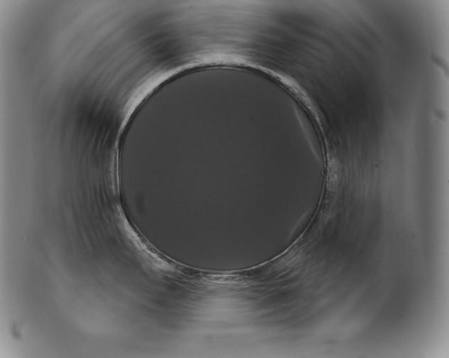 X0000102241295200808081427