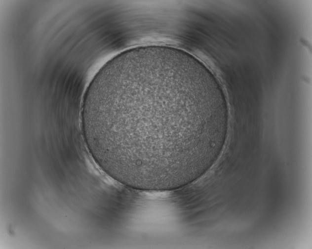 X0000102241296200808081427