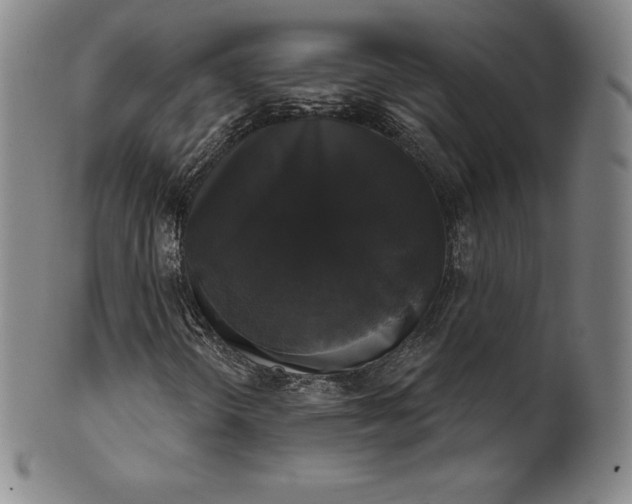 X0000102241298200808081426