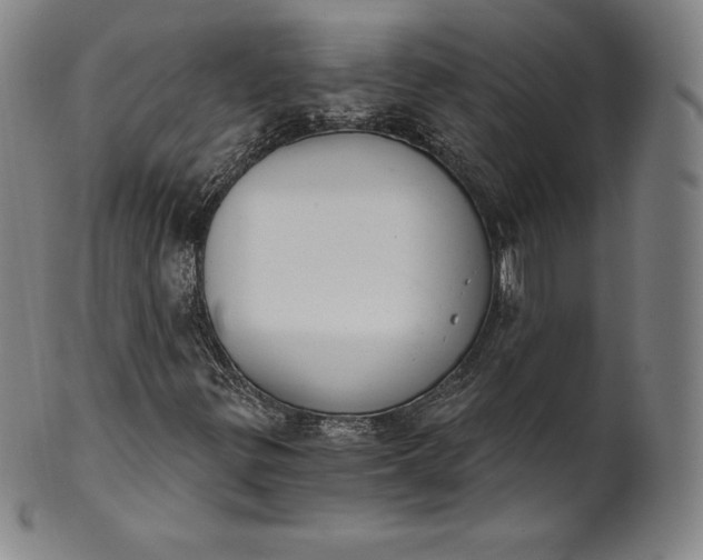 X0000102241299200808081426