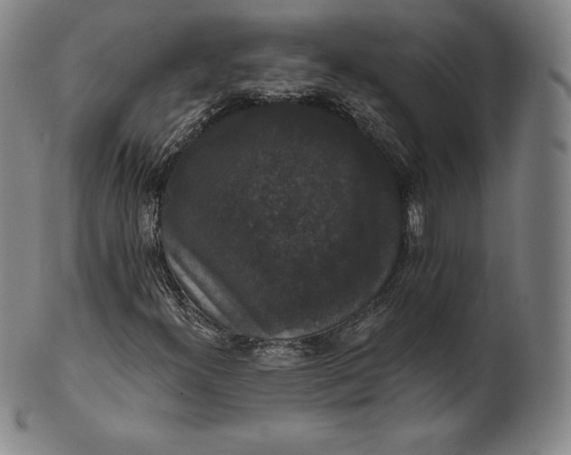 X0000102241300200808081426