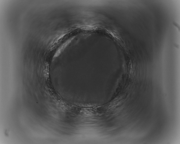 X0000102241301200808081426