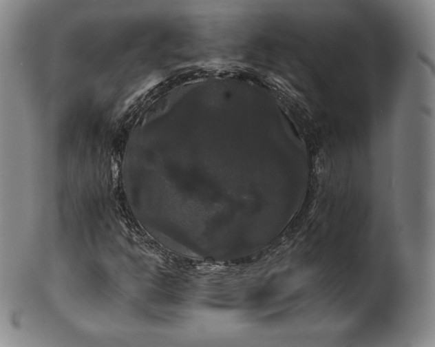 X0000102241302200808081426