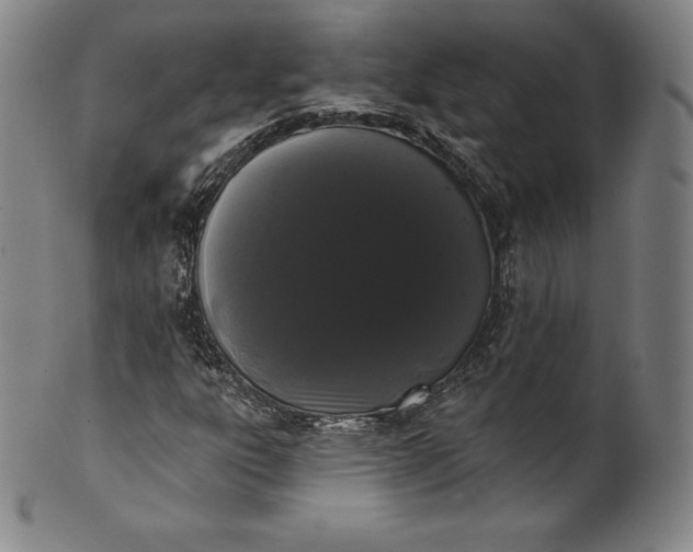 X0000102241303200808081426