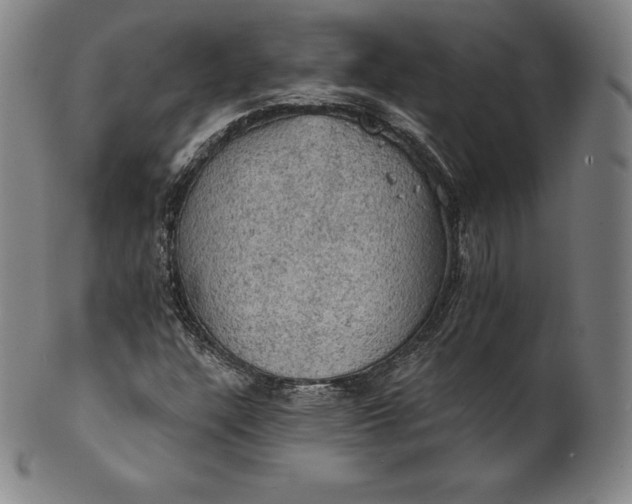 X0000102241304200808081426