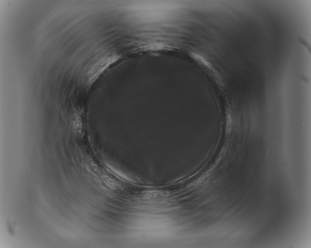 X0000102241305200808081426