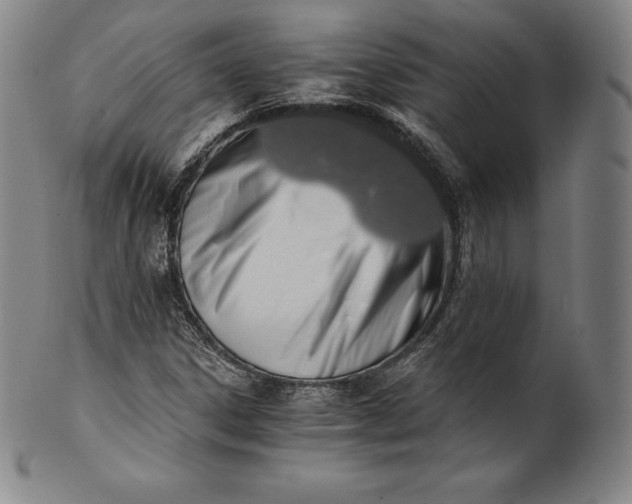 X0000102241306200808081426