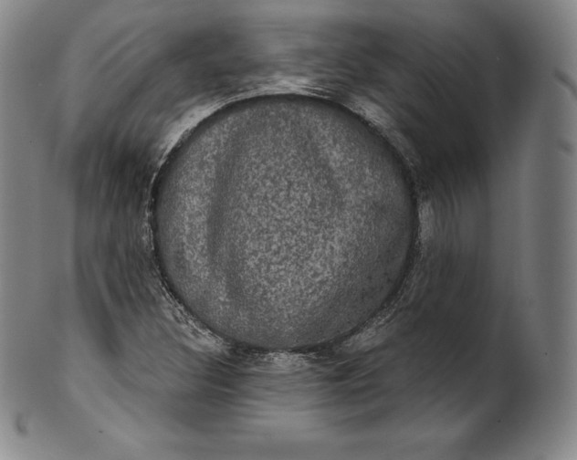 X0000102241308200808081426