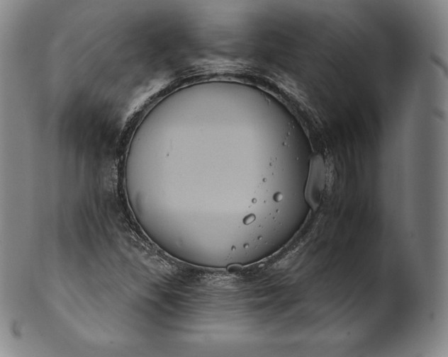 X0000102241309200808081426