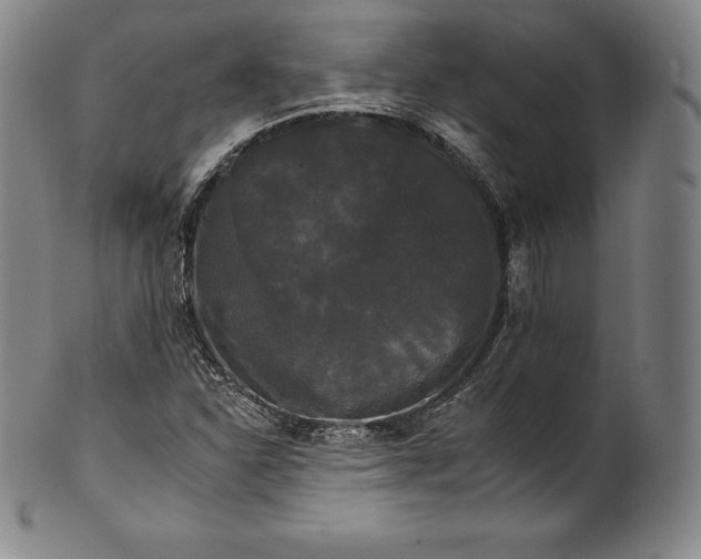 X0000102241310200808081426