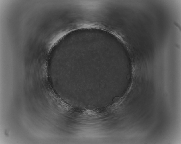 X0000102241311200808081427