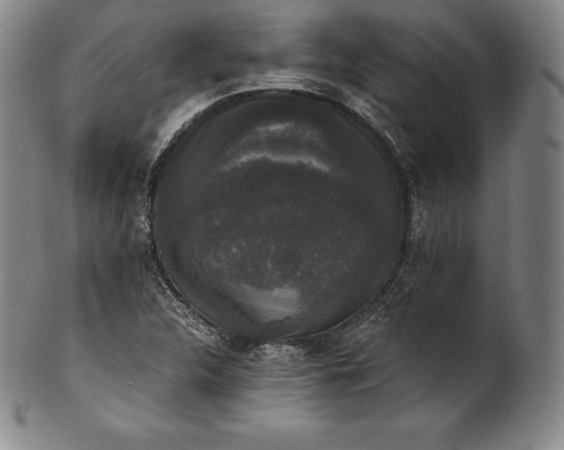 X0000102241312200808081427