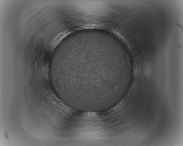 X0000102241313200808081427